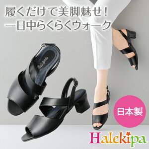 ̃vl yȍזT_ [Z3310] T_ fB[X Ȃ { ꂢ q[ ItBX  4E y O L b ₷ EȂ Xgbv   