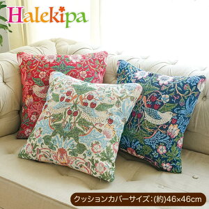 �����X���[���h�R���N�V���� �W���J�[�h�D�� �N�b�V�����J�o�[ [Z3377] �w�� �N�b�V���� �J�o�[ 45×45cm ������� �E�B���A���E�����X �������D�_ �C���e���A �O�b�Y ����� �􂦂� �����` ����