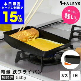本日限定【15%OFFクーポン】 ＼えっ？軽い！／ 【デビュー専用】 鉄製 卵焼きフライパン 返しやすい 斜め構造 鉄フライパン 燕三条製 軽量 IH対応 日本製 鉄フライパンIH 卵焼き器 軽い 超軽量 国産 IH 鉄 フライパン