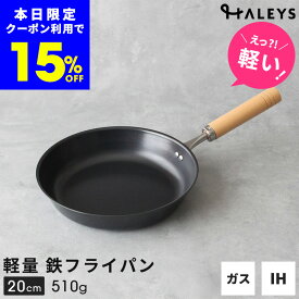 本日限定【15%OFFクーポン】 ＼えっ？軽い！／ 【デビュー専用】 鉄フライパン 燕三条製 20cm 日本製 鉄 フライパン 軽量 軽い 鉄製 ミニフライパン 一人 一人用 一人暮らし HALEYS 木製ハンドル