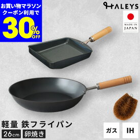 本日限定【30%OFFクーポン】 鉄フライパン 2点セット パームたわし付き 燕三条製 鉄フライパンセット 26cm 鉄製 卵焼きフライパン 日本製 鉄フライパンIH 軽量 軽い IH対応 直火 IH 鉄 フライパン セット キャンプ アウトドア