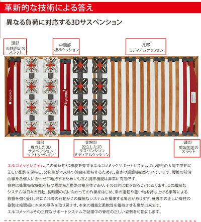 Ergogreen(エルゴグリーン)Ergomed(エルゴメッド)セミダブルフレーム(SD)【イタリア製】【送料無料】