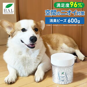 _10% OFF^n̏L Lr[Y 600g | L  L  Ɩp u^  L ^oR N[[bg  bJ[ C ԓ jIC r[Y  ybg gC Lb`  G