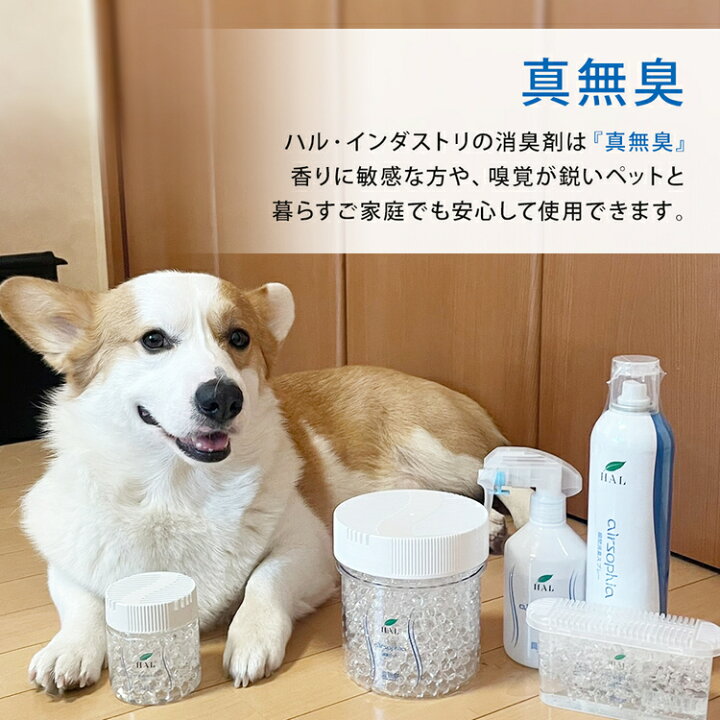 楽天市場 消臭剤 お試し５点セット 消臭 除菌 無香料 無臭 エアソフィア ハイパー 消臭ビーズ 消臭スプレー 除菌消臭ミスト 消臭ゲル 置き型 ペット 部屋 靴箱 玄関 ゴミ箱 トイレ 冷蔵庫 衣類 帽子 猫 タバコ ハル インダストリ 楽天市場店