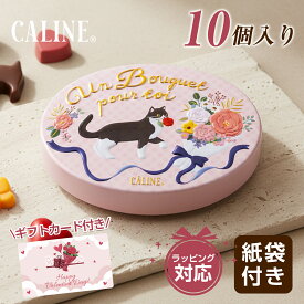 ★セールクーポン配布中！ 猫 チョコレート バレンタイン ギフト 猫チョコ 2026 モロゾフ ネコ チョコ バレンタイン チョコレート 缶 入り かわいい バレンタインチョコ カリーヌ プチギフト 義理チョコ 子供 ねこ プレゼント 猫 モチーフ 型 猫チョコバレンタイン 送料無料