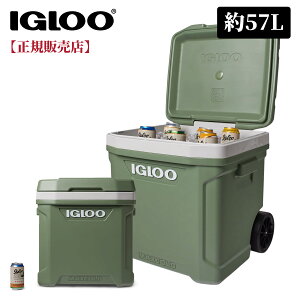 yiglooK̔Xzyzigloo N[[{bNX CO[ CO[ (Igloo) N[[{bNX SPM LATITUDE 60R  57L e Lv BBQ C  OsO X|[c Lvpi AEg