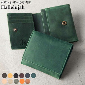 ܂z Y ܂ z ~jz v U[ D2ӏŎd\ z J[h RpNg Lt@Xi[ Ԃ  FOLIO2.0 uh n