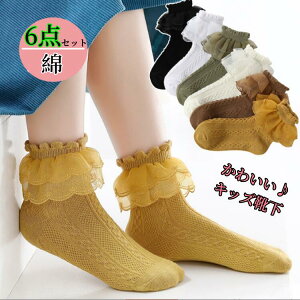  6g LbY\bNX[X\bNX ̎qt\bNX C\bNXnC\bNX zCg\bNX w  ܎O \  w oG [X[\bNX C