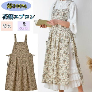 Rbg GvԕGv 100 O| JtFGv [fBXp  2F ƒp ~[et K[fjO VFt o[ Gv YGv Ɨp Xgbv