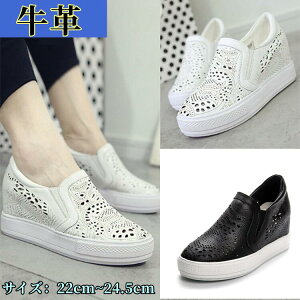 {vCq[Xj[J[ fB[X EFbW\[ Xb| Xj[J[Cq[@fB[XC V[Y Cq[V[Y Xj[J[̎q~  Ȃ ɂ