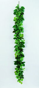 y|Cg10{zyVX[p[SAIL(12/4~12/11) vGg[ AXJ [vACr[~bNXK[h O- 41486-051A  AW  t[