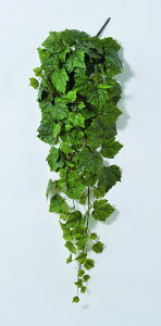 y|Cg10{z11/20~11/27 ubNtCf[x|CgAbv(vGg[) AXJ O[v[tubVoC O- 42174-051A  AW  t[