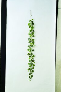 y|Cg10{z12/1̓_tf[IAXJ t`ACr[K[h EJ@QCgO- 42226-051V  AW  t[