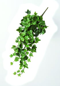 y|Cg10{z12/1̓_tf[IAXJ CObVACr[oC O- 42365-051A  AW  t[