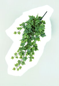 y|Cg10{z12/1̓_tf[IAXJ CObVACr[oC tXgO- 42365-051F  AW  t[