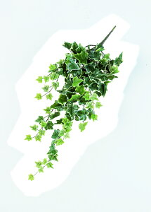 y|Cg10{z12/1̓_tf[IAXJ CObVACr[oC EJ@QCgO- 42365-051V  AW  t[