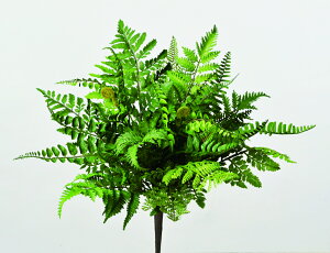 y|Cg10{z11/20~11/27 ubNtCf[x|CgAbv(vGg[) AXJ ~bNXt@[ubV O- 42516-051A  AW  t[