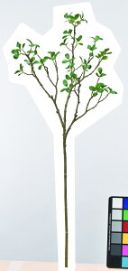 y|Cg10{z12/1̓_tf[IAXJ [tXv[ O- 43399-051A  AW  t[