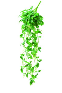 y|Cg10{z11/20~11/27 ubNtCf[x|CgAbv(vGg[) AXJ gfBXJeBAubV EJ@QCgO- 43762-051V  AW  t[