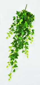 y|Cg10{z12/1̓_tf[IAXJ {XgACr[oC O- 43891-051A  AW  t[