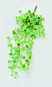 y|Cg10{z12/1̓_tf[IAXJ ~jACr[ubVoC EJ@QCgO- 43946-051V  AW  t[