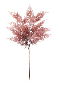 y|Cg10{z11/1̓_tf[IAXJ AXpKXt@[o`(13{) [uuE 44281-055N  AW  t[