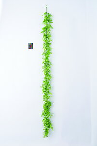 y|Cg10{z11/20~11/27 ubNtCf[x|CgAbv(vGg[) AXJ ~bNX[tK[h CgO- 44359-052B  AW  t[