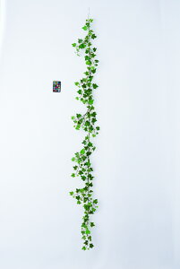 y|Cg10{z12/1̓_tf[IAXJ ACr[K[h EJ@QCgO- 44393-051V  AW  t[