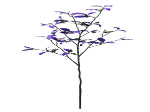 ���|�C���g10�{�� 1/9~1/16 ���������}���\��(�v�G���g���[) �A�X�J���� �s�b�g�X�|�����x���[�X�v���[ �p-�v���O��-�� 47996-007G ���� �A�����W ���� �t�����[