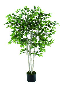 y|Cg10{z11/20~11/27 ubNtCf[x|CgAbv(vGg[) AXJ o[`c[(|bgt) O- 50768-051A  AW  t[