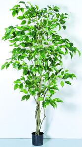 y|Cg10{z11/20~11/27 ubNtCf[x|CgAbv(vGg[) AXJ t@CJXc[(|bgt) O- 50858-051A  AW  t[