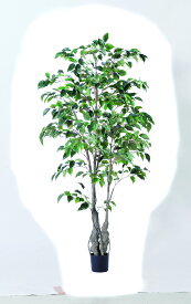 【当店限定】11/5〜11/11までポイント5倍！！アスカ商会 ファイカスツリー(ポット付) グリ-ン 50866-051A 飾り アレンジ 装飾 フラワー