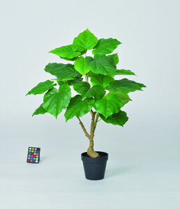 y|Cg10{z11/20~11/27 ubNtCf[x|CgAbv(vGg[) AXJ Ex[^(|bgt) O- 51035-051A  AW  t[