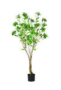 y|Cg10{z11/20~11/27 ubNtCf[x|CgAbv(vGg[) AXJ AZr(|bgt) O- 51061-051A  AW  t[