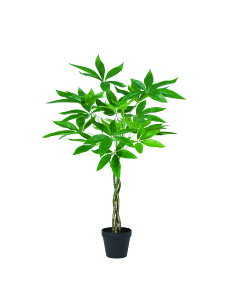 y|Cg10{z11/20~11/27 ubNtCf[x|CgAbv(vGg[) AXJ pL(|bgt) O- 51064-051A  AW  t[