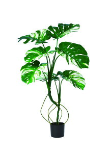 y|Cg10{z11/20~11/27 ubNtCf[x|CgAbv(vGg[) AXJ Xe(|bgt) EJ@QCgO- 51071-051V  AW  t[