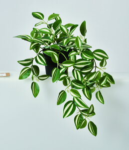 y|Cg10{z11/20~11/27 ubNtCf[x|CgAbv(vGg[) AXJ _OW[(|bgt) EJ@QCgO- 51092-051V  AW  t[