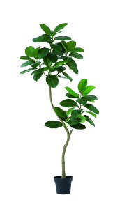 y|Cg10{zyVX[p[SAIL(12/4~12/11) vGg[ AXJ S̖(|bgt) O- 51117-051A  AW  t[