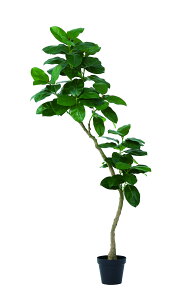 y|Cg10{zyVX[p[SAIL(12/4~12/11) vGg[ AXJ S̖(|bgt) O- 51118-051A  AW  t[