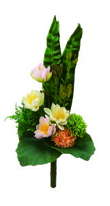 y|Cg10{zyVX[p[SAIL(12/4~12/11) vGg[ AXJ @Ƌě䋟u[P 55008-000  AW  t[