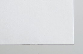 【4/24～4/27開催】お買い物マラソン×ポイント5倍！(要エントリー) アーテック 画用紙 8切 (#200 100枚) 美術・画材・書道 美術・画材