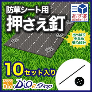 y|Cg5{z11/14~11/16JÁIyVC[OXӍ × |CgAbv(vGg[)_CI hV[gpB 10P wb_[t ̔PʁF10Zbg