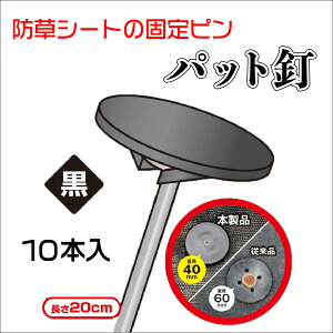 y|Cg10{z12/1̓_tf[I_CI hV[gpbhB 10P  ̔PʁF20Zbg