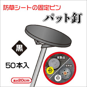 y|Cg10{z12/1̓_tf[I_CI hV[gpbhB 50P  ̔PʁF12Zbg