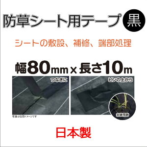 y|Cg10{z12/1̓_tf[I_CI hV[g{Hpe[v  80mm×10m ̔PʁF10Zbg