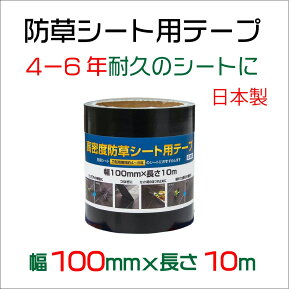 y|Cg5{z11/14~11/16JÁIyVC[OXӍ × |CgAbv(vGg[)_CI hV[ge[v/x 100mm×10m ̔PʁF10Zbg