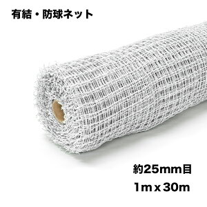 y|Cg10{z11/20~11/27 ubNtCf[x|CgAbv(vGg[) _CI |LStlbg  1×30 ڍ 25mm ̔PʁF4Zbg