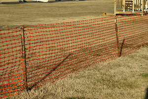 y|Cg10{z11/20~11/27 ubNtCf[x|CgAbv(vGg[) _CI SBtFX IW 1×50 Ǔ