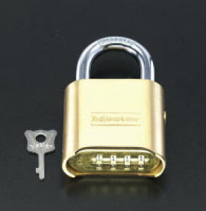 y|Cg5{z10/24~10/27JÁI}\(vGg[) 50mm _CA(ZbgL[t)