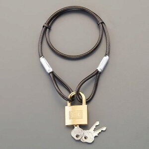 y|Cg5{z9/19~9/24JÁI}\(vGg[) 4.3x1040mm C[bN(V_[/L[)